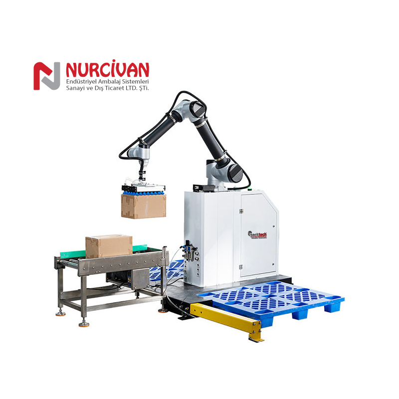 Packtech Palletizer PT CBT 46 PRO